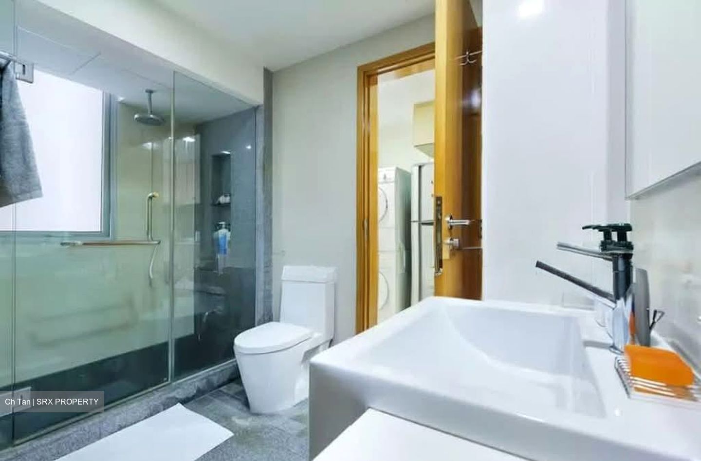 8 @ Mount Sophia (D9), Condominium #567025141
